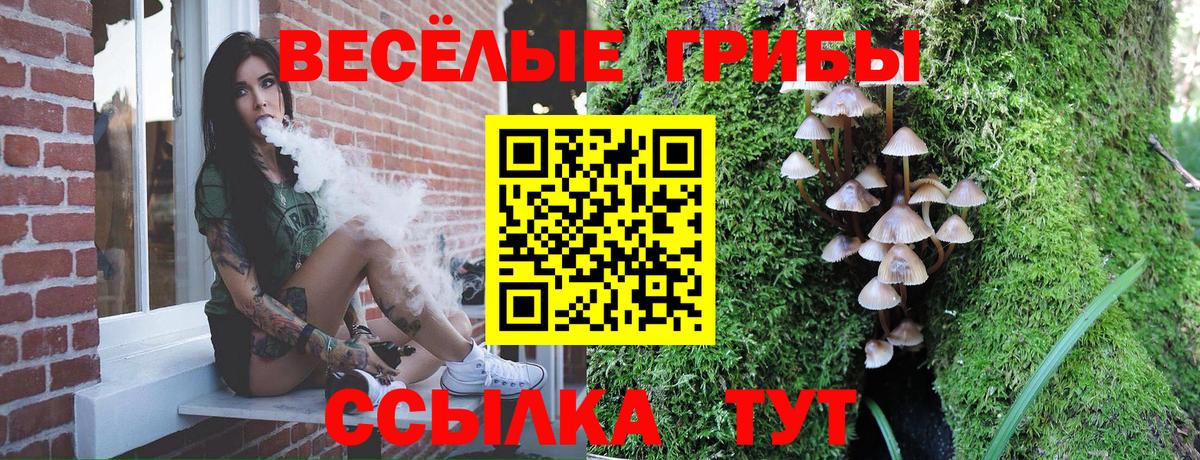 Еманжелинск  Галлюциногенные грибы GOLDEN TEACHER  Псилоцибиновые грибы MAGIC MUSHROOMS  Вход с VPN 